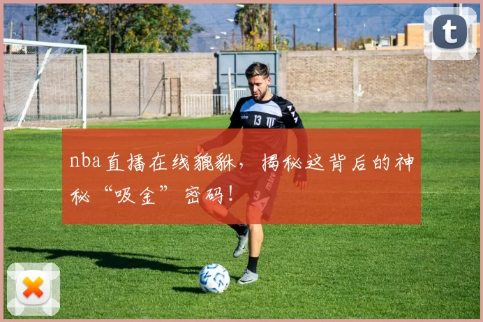 nba直播在线貔貅，揭秘这背后的神秘“吸金”密码！