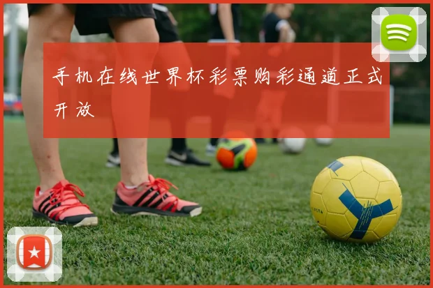 手机在线世界杯彩票购彩通道正式开放